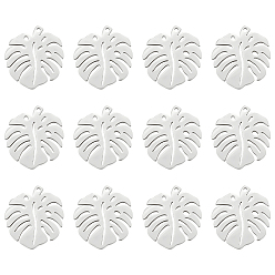 Нержавеющая Сталь Цвет 12 шт. 201 подвески из нержавеющей стали, подвески из тропических листьев, лист монстры, полый, цвет нержавеющей стали, 24x21x1 мм, отверстие : 1 мм