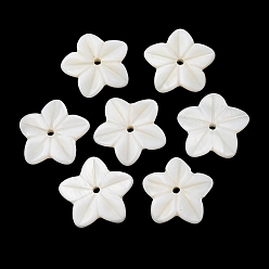 Белый Резные подвески из натуральных пресноводных ракушек, , белые, 16x17x2.5 мм, отверстие : 1.5 мм