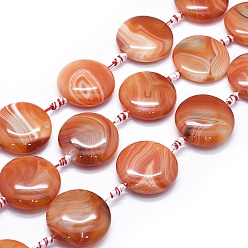 Коралловый Натуральный полосатый агат / полосатые агатовые бусы, окрашенная и подогревом, плоско-круглые, коралл, 25~26 мм, отверстие : 2 мм, около 12 шт / нитка, 15.7 дюйм ~ 16.1 дюйм (40~41 см)