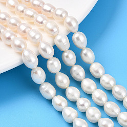 Кремово-белый Нити из натурального культивированного пресноводного жемчуга, рис, кремово-белые, 7.5~10x6.8~7.5 мм, отверстие : 0.5 мм, около 43~44 шт / нитка, 15.35~15.55'' (39~39.5 см)