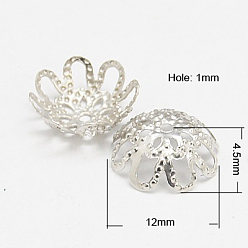 Platinum Iron Bead Caps, Platinum, 12x4.5mm, Hole: 1mm
