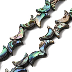 Colorful Natural Abalone Shell Paua Shell Beads Strands, Crescent Moon, Colorful, 12~12.5x8~8.5x3~3.5mm, Hole: 0.5mm, about 35pcs/strand, 12.99''(33cm)