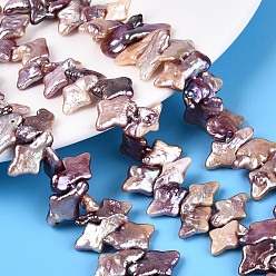 чертополох Натуральный жемчуг в стиле барокко кеши, зарождающаяся жемчужина, звезда, Топ пробуренной, чертополох, 12.5~18.5x7.5~13x3~7.5 мм, отверстие : 0.6 мм, около 56~69 шт / нитка, 14.96~15.94 дюйм (38~40.5 см)