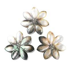 черная губная раковина Природные подвески оболочки пресноводных, цветочный шарм, 39x40.5x3 мм, отверстие : 2 мм