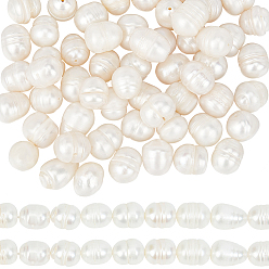 Морская Ракушка 2 бусины из натурального культивированного пресноводного жемчуга, рис, цвет морской раковины, 10~12x9~10 мм, отверстие : 0.7 мм, около 32~33 шт / нитка, 13.39 дюйм (34 см)
