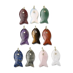 Смешанные камни Природные и синтетические смешанные подвески драгоценных камней, подвески в виде рыбок с латунной микрофиброй и фианитами, золотые, стойки покрытие, 39~40.5x19.5~20.5x9.5~10.5 мм, отверстие : 4.5x5 мм