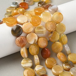 (946FM) Цитрин матовый с зеленой подкладкой Натуральные бусины из желтого ботсванского агата, плоско-круглые, 14~14.5x5.5~6 мм, отверстие : 1.2 мм, около 28 шт / нитка, 15.55 дюйм (39.5 см)