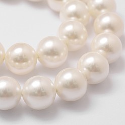 Floral White Shell Pearl Bead Strands, Grade A, Round, Floral White, 14mm, Hole: 1mm, about 28~29pcs/strand, 16 inch
