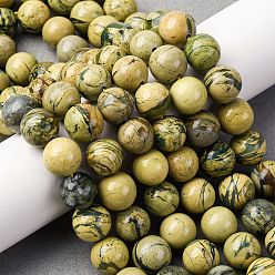 Природный Драгоценный Камень Нити бусин из натурального камня вердит, круглые, 10.5~11 мм, отверстие : 1.2 мм, около 36~38 шт / нитка, 14.57~14.96'' (37~38 см)
