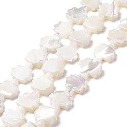 White Natural Trochid Shell Beads Strands, Tree, White, 11x10.5x3~3.5mm, Hole: 0.6mm, about 36~37pcs/strand, 15.75~15.94 inch(40~40.5cm)