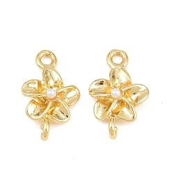 Настоящее золото 18K Латунные подвески с соединительными элементами из АБС-пластика, имитирующими жемчуг, цветок ссылки, без кадмия и без свинца, долговечный, стойки покрытие, белые, реальный 18 k позолоченный, 14.5x9x3 мм, отверстия : 1.5 mm и 1.4 мм