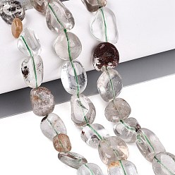 Lodolite Quartz Natural Green Lodolite Quartz/Garden Quartz/Green Phantom Quartz Beads Strands, Nuggets, Tumbled Stone, 8~19x7~12x3~10mm, Hole: 0.7~0.9mm, about 30~35pcs/strand, 15.75~16.14 inch(40~41cm)