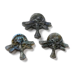 Русалка Природные кабошон лабрадора, русалка, 44~45x51~51.5x9~12 мм