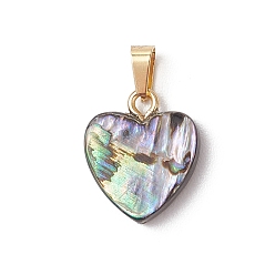 Разноцветный Природные пауа оболочки подвески, подвески-сердечки с 304 защелками из нержавеющей стали, золотые, красочный, 17x14x3.5 мм, отверстие : 5.5x3.4 мм