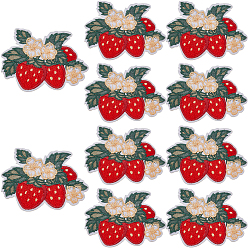 Красный 10 шт. полиэстеровая вышитая тканевая нашивка, компьютеризированная вышивка тканью утюжок на / шить на заплатках, аксессуары для костюма, аппликация, клубника, красные, 50x68x1.5 мм