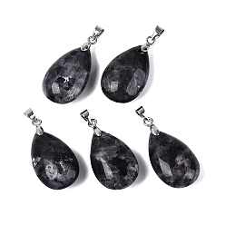 Larvikite Подвески из натурального ларвикита, слезинки, с защелкой из нержавеющей стали на поручнях, цвет нержавеющей стали, 28~32x14~16x8~10 мм, отверстие : 4.5x3.5 мм