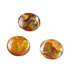 Orange Foncé Paua cabochons, plat rond, orange foncé, 15x2mm