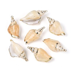 Мокасин Подвески из натуральной спиральной раковины с гальваническим покрытием, Подвески в виде раковин с петлями из железа золотистого оттенка., мокасин, 46~55x21~26x15~20 мм, отверстие : 1.7~2 мм