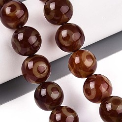 3-Глаза Нити бусин дзи агат в тибетском стиле, природных бисера агат, окрашенная и подогревом, круглые, седло коричневый, 3 -eye, 13.5~14.5 мм, отверстие : 1.2~1.4 мм, около 25 шт / нитка, 13.78 дюйм (35 см)