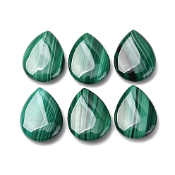 Морско-зеленый Природные кабошон малахита, teartrop, цвета морской волны, 20x15x4.5 мм