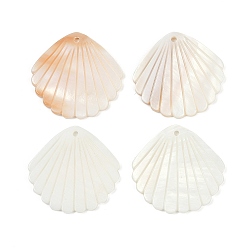 Морская Ракушка Природные подвески оболочки пресноводных, подвески в форме ракушек, цвет морской раковины, 31.5x32.5x2.4 мм, отверстие : 1.8 мм