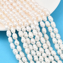 Папайя Оранжевый Нити из натурального культивированного пресноводного жемчуга, рис, класса AB +, papayawhip, 6~7 мм, отверстие : 0.6 мм, около 37~44 шт / нитка, 13.58~13.98'' (34.5~35.5 см)