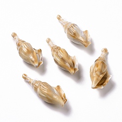 BurlyWood Acrylic Big Pendants, Imitation Gemstone Style, Conch, BurlyWood, 57.5x21x15mm, Hole: 2.8mm, about 93pcs/500g