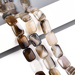 Верблюжий Природный агат бисер нитей, окрашенные, прямоугольные, верблюжие, 17~19x13~14x5~6.5 мм, отверстие : 1 мм, около 22 шт / нитка, 15.55~15.75 дюйм (39.5~40 см)