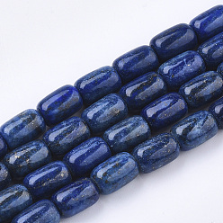 Lapis Lazuli Natural Lapis Lazuli Beads Strands, Barrel, 12x8mm, Hole: 1mm, about 32pcs/strand, 14.9 inch
