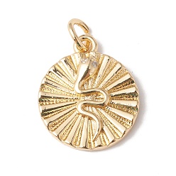 Clear Eco-Friendly Brass Micro Pave Cubic Zirconia Pendants, Rack Plating, Long-Lasting Plated, Lead Free & Cadmium Free, Real 18K Gold Plated, Flat Round with Snake, Clear, 14x11.5x2.5mm, Hole: 2mm