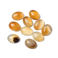 Red Agate Natural Red Agate Cabochons, Oval, 16x12x6mm