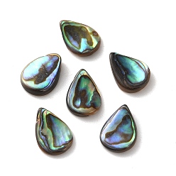 Раковина Естественно Paua стеклянные бусы, бусины с каплевидным верхом, красочный, 15~15.5x11~11.5x2~4 мм, отверстие : 0.9 мм