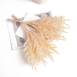 Фора Искусственные замороженные ветки из пластика и железа, для свадьбы, внутреннего, наружного, домашнего, садового, крыльца, оконного, растительного украшения, оранжевые, 190 мм, 6 шт / комплект