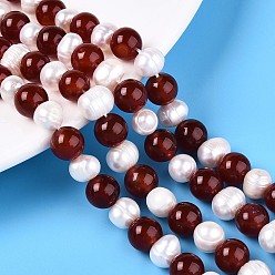 Красный Агат Натуральный сердолик (окрашенный и нагретый) круглый и натуральный культивированный пресноводный жемчуг картофельные бусины с канавками, 7.5~8.5 мм, отверстие : 1.2 мм, Жемчужина: 6~8x6~10 мм, отверстие : 0.7 мм, около 27 шт / нитка, 7.87~8.07 дюйм (20~20.5 см)