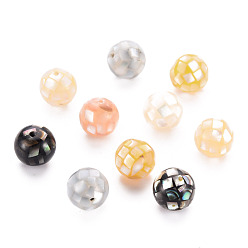 Mixed Color Natural Mixed Shell Beads, Round, Mixed Color, 8.5mm, Hole: 1mm