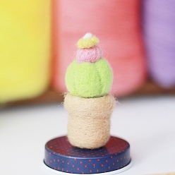 Couleur Mélangete Kit de feutrage à l'aiguille cactus, y compris les instructions, 1 mousse pc, 3 aiguilles PC, 6 couleurs laine, couleur mixte