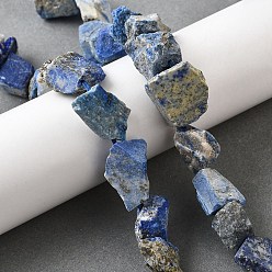 Ляпис-Лазурь Нитки бусины из натурального ляписа-лазури, грубый необработанный камень, самородки, 7~25x9~26x7~20 мм, отверстие : 0.8~1.2 мм, около 10~18 шт / нитка, 7.28''~7.87'' (18.5~20 см)