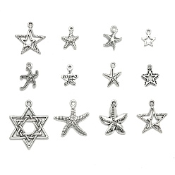 Antique Silver Tibetan Style Alloy Pendants, Star, Antique Silver, 15~36x12~36x1.5~3mm, Hole: 2~4mm