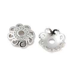 Платина Шапочки и конусы для бусин, латунные, лотос, платина, 8x2 мм, отверстие : 1.6 мм