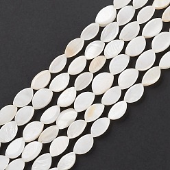 Seashell Color Natural Freshwater Shell Beads Strands, Oval, Seashell Color, 9~10x4.5~6x2.5~3mm, Hole: 1mm, about 38pcs/strand, 14.49''(36.8cm)