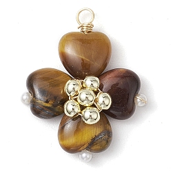 Тигровый глаз Подвески из синтетического гематита с тигровым глазом и медной проволокой, подвески с четырехлистным клевером, 28~29.5x26~27x9~10 мм, отверстие : 2 мм