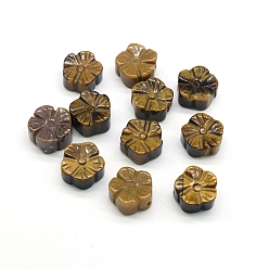 Œil De Tigre Perles oeil de tigre naturelles, fleur, 12x12mm