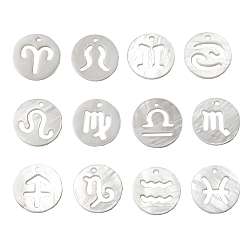 12 Chinese Zodiac Signs Подвески из натуральных пресноводных ракушек, полый, 12 созвездие / знак зодиака, плоско-круглые, 12 китайские знаки зодиака, 12 мм, 12 шт / комплект