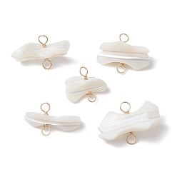 Light Gold Подвески из натуральной трохидной ракушки, звенья самородков с двойными петлями из медной проволоки, золотой свет, 13~15x14~24x5~10 мм, отверстие : 3 мм