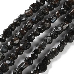 Кианит Натуральные нити из кианита / цианита / дистенового бисера, самородки, упавший камень, 4.5~11.5x3~7x3.5~6 мм, отверстие : 1~1.2 мм, около 48~68 шт / нитка, 15.35~15.94'' (39~40.5 см)