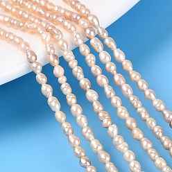 Pêche Brins de perles naturelles nucléées, perle de keshi, riz, peachpuff, 2~8x2~3.5mm, Trou: 0.5mm, Environ 69~108 pcs/chapelet, 15.16~15.55 pouce (38.5~39.5 cm)
