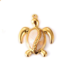 Tortoise Подвески из нержавеющей стали, золотые, черепаха, 30x24 мм