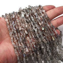 Лабрадорита Природные лабрадорита бисер нитей, самородки, 5~9x4~6x3~4.5 мм, отверстие : 0.7 мм, около 75~89 шт / нитка, 15.35'' (39 см) ~ 15.94'' (40.5 см)