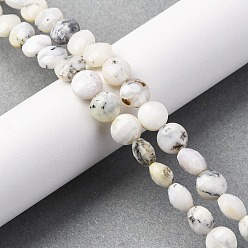 Белый Опал Натуральный белый опал африканские бусы пряди, граненый квадратный разрез, плоско-круглые, 8~8.5x4.5~6.8 мм, отверстие : 0.8~1.2 мм, около 48~49 шт / нитка, 15.08~15.35 дюйм (38.3~39 см)