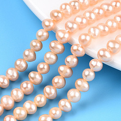 PeachPuff Natural Cultured Freshwater Pearl Beads Strands, Potato, PeachPuff, 5.5~6.5x5~6mm, Hole: 0.6mm, about 66pcs/strand, 14.37~14.57 inch(36.5~37cm)